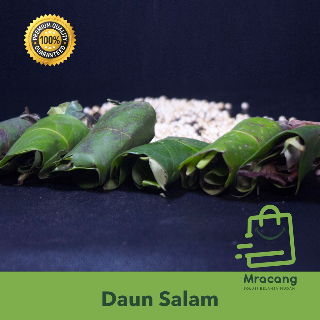 DAUN SALAM 1TUSUK / BUMBU DAPUR