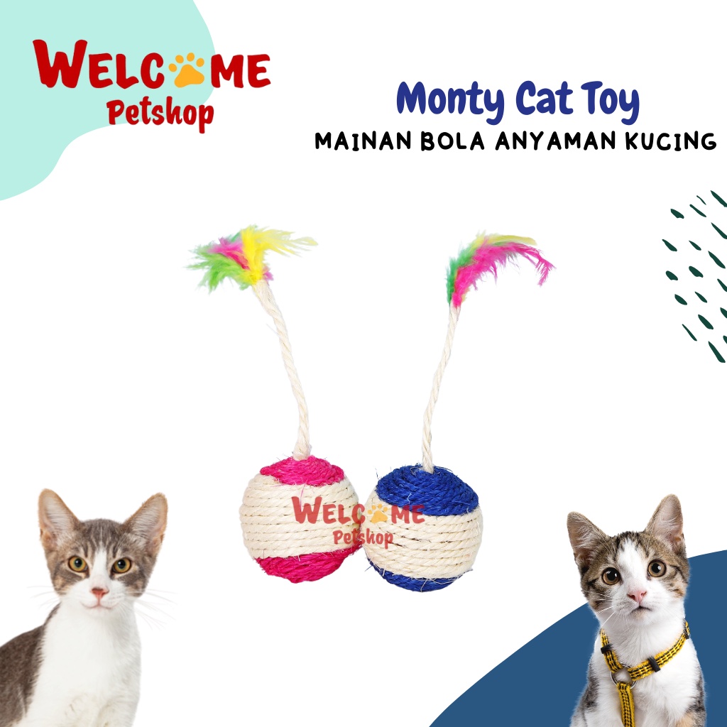 Monty Cat Toy Mainan Kucing Bola Anyaman Bulu Interactive Toy