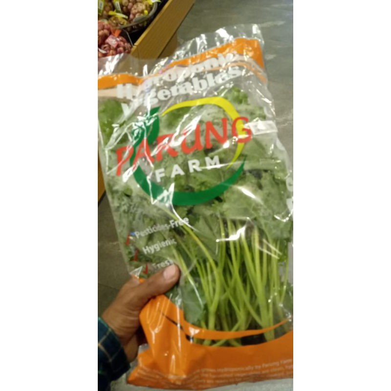 

daun kale