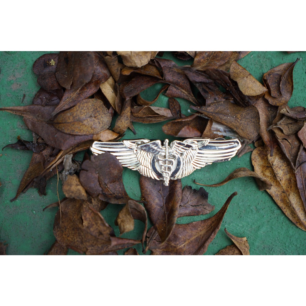 USAF WWII Flight Surgeon Wings Badge/Pin