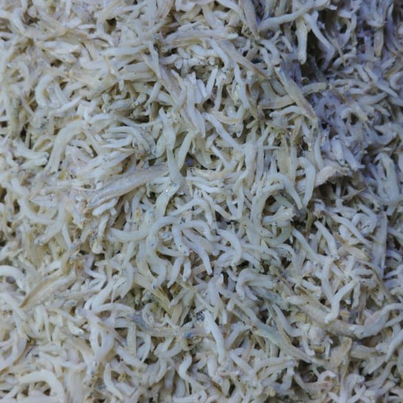 

teri nasi campur