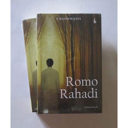 Romo Rahadi (Roman) - Y Wastu Wijaya (YB Mangunwijaya)