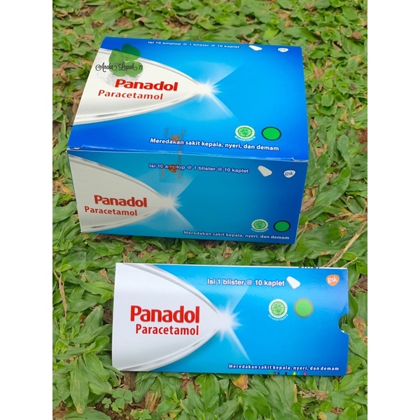 Panadol Paracetamol Box Biru