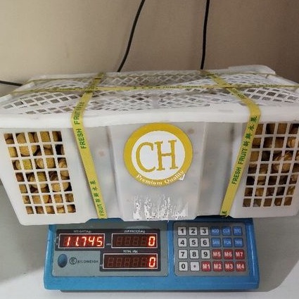 

Lengkeng Gold Thailand Per Keranjang