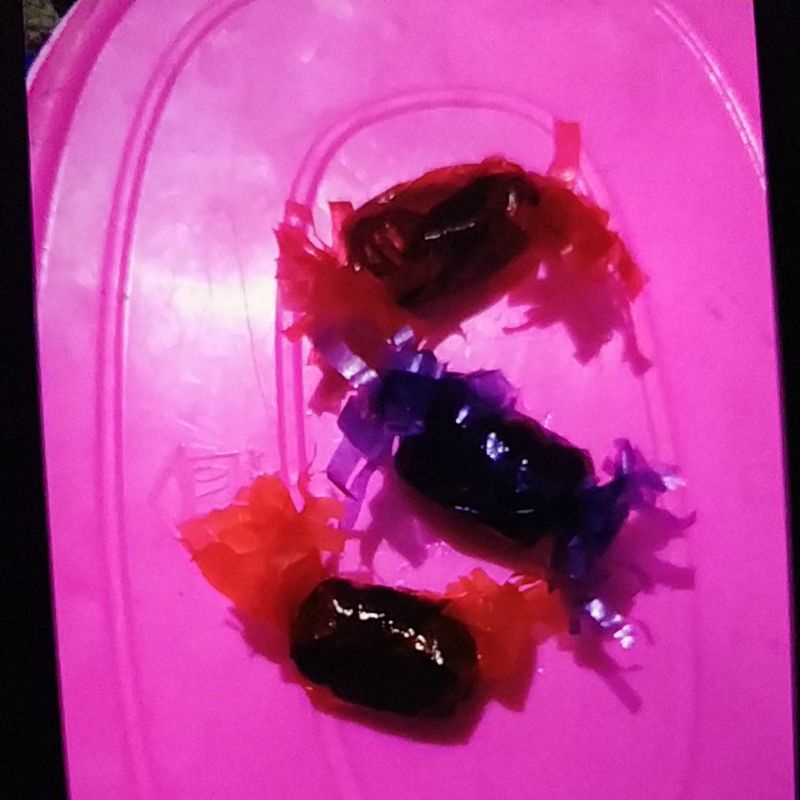 

Oleh- oleh khas kota Jember