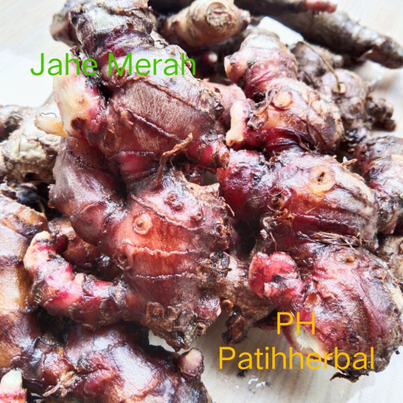

Jahe Merah untuk herbal atau bumbu masakan 250 gram