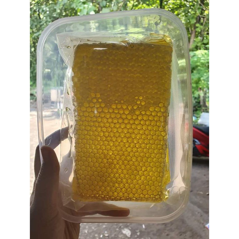 

Sarang Madu Queen Honey