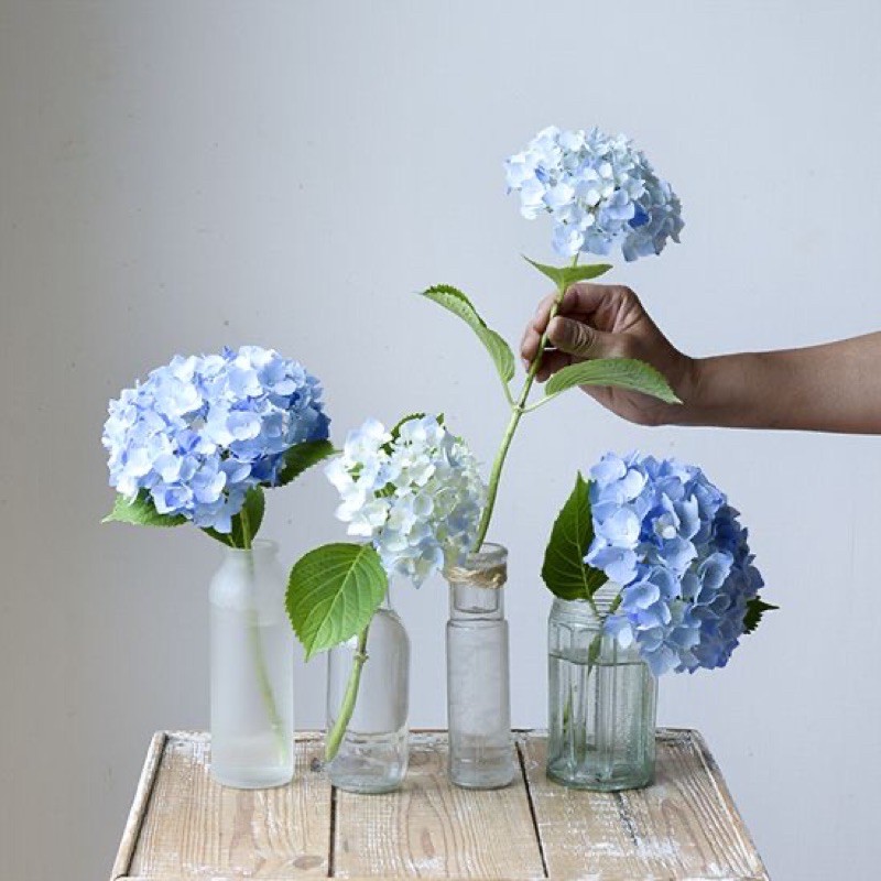 REED DIFFUSER AROMATERAPI RATTAN 50ml STICK BUNGA Taffware HUMI REED DIFFUSER RATTAN STICK-Blue Wind Chimes