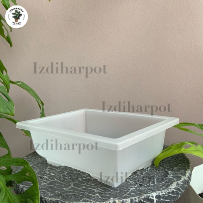 pot bunga tanaman ceper NKT BONSAI BENING TRANSPARAN - NKT BONSAI 01
