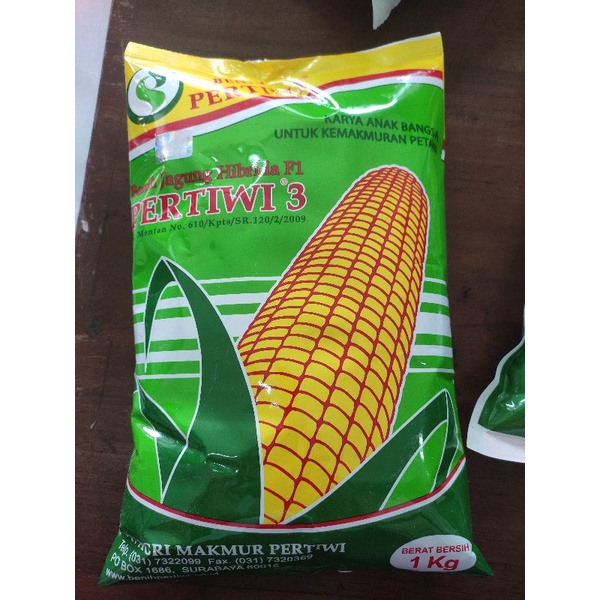 jagung pertiwi 3