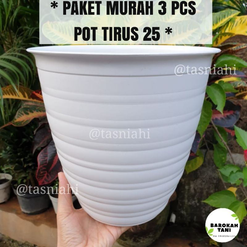 Paket Murah 3 Pcs Pot Pirus Tirus 25 Diameter 24 (isi 3 pcs) Warna Putih