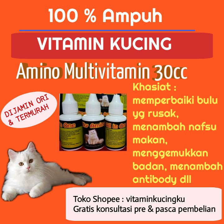 Vitamin Kucing Nafsu Makan Vitamin Kucing Penggemuk dan Pelebat Bulu Vitamin Kucing Gemuk dan Bulu A