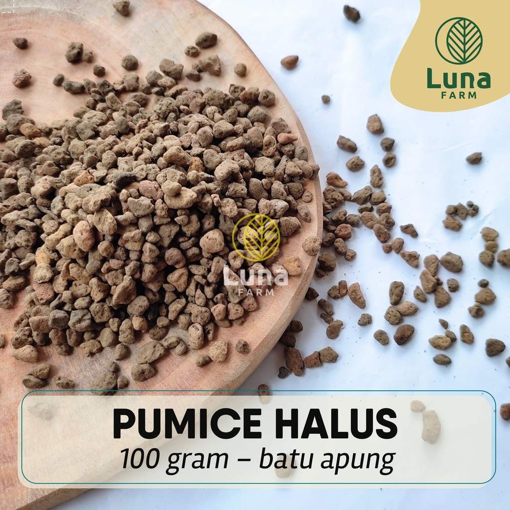 Pumice Halus Media Tanam Pumis Batu Apung Import Ukuran Kecil 100 g