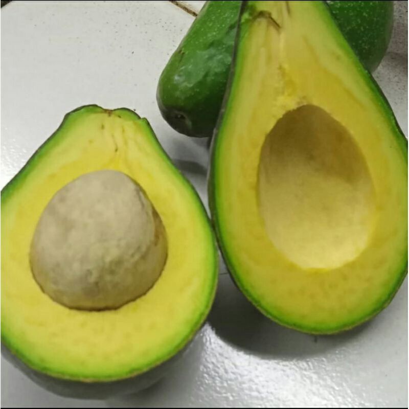 buah alpukat mentega 1kg