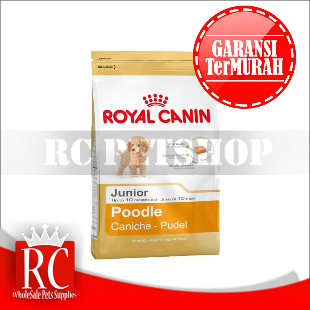 Makanan Anjing Royal Canin Junior Poodle 3 Kg