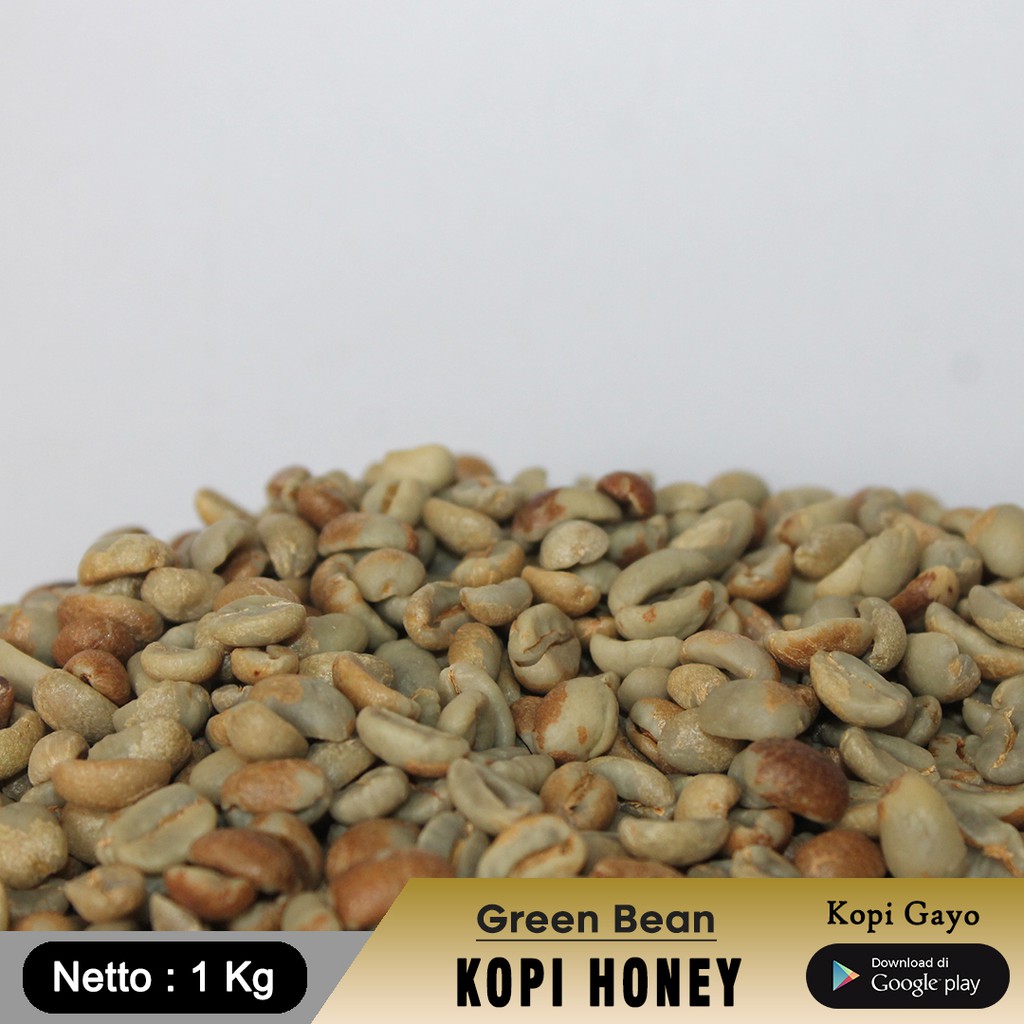 

Biji Kopi Arabika Robusta Gayo Aceh Green Bean 1Kg-AZA Coffee