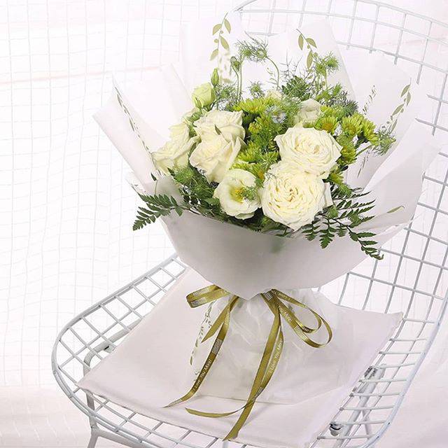 Plastik cellophane daun rambat