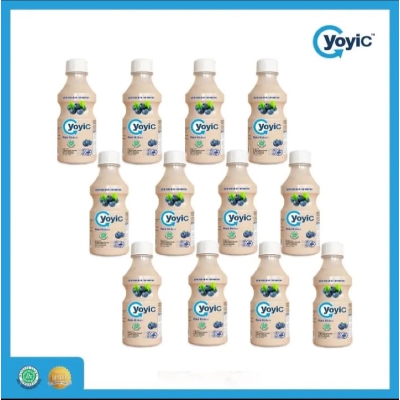 Sayamiir paket yoyic 12 pcs