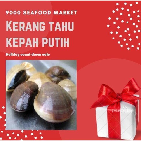 

Kerang tahu kepah putih 1 kg