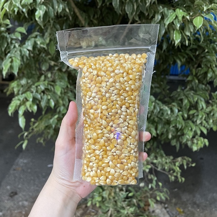 

Jagung Pop Corn Mentah 400 gram / Popcorn Mentah 400gr / Yellow Popcorn