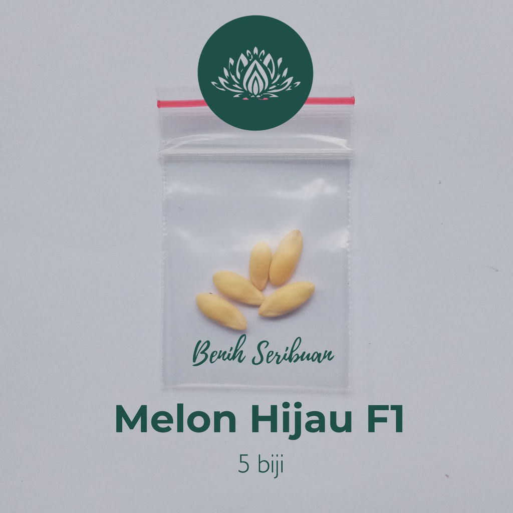 5 Benih Bibit Melon Hijau F1 Hibrida Melani Tanaman Buah Buahan Melon Putih Berjaring Daging Tebal Unggul