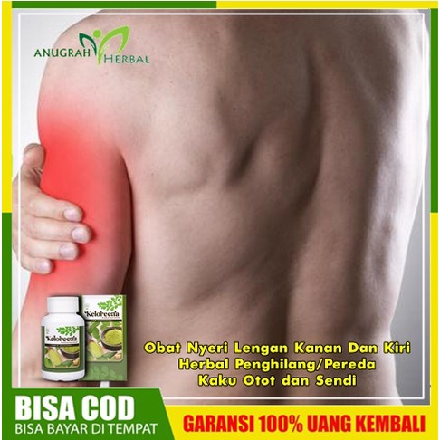 Obat Nyeri Lengan Kanan Dan Kiri, Herbal Penghilang/Pereda Kaku Otot dan Sendi, Obat Nyeri Di Lengan