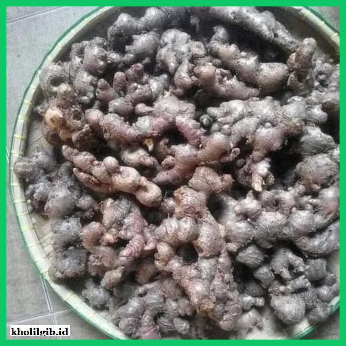 

lanoisidartdrink- jahe merah segar 500 gr -asliii-bngittt.