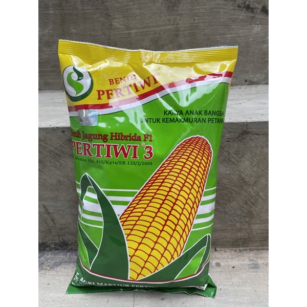 Benih Jagung Pertiwi-3
