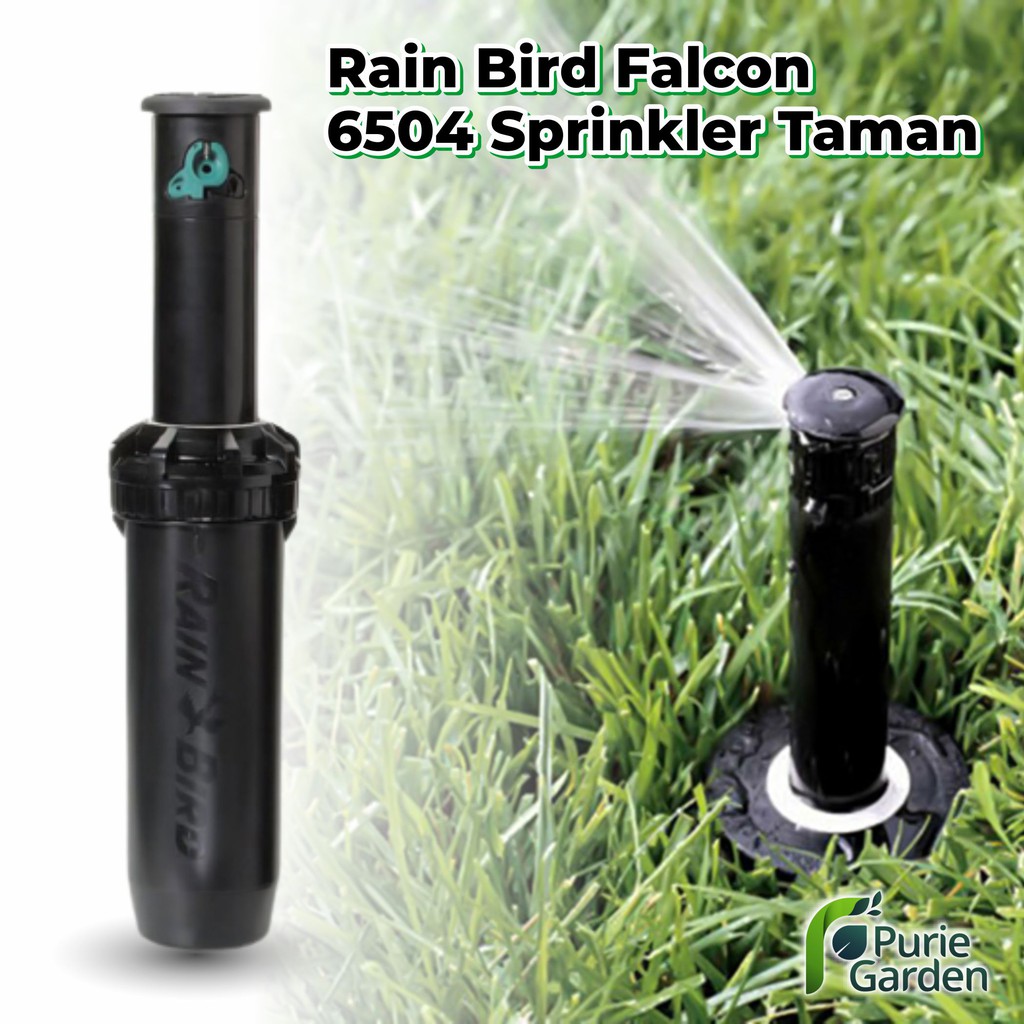 Rain Bird Falcon 6504 Sprinkler Taman PG KDR