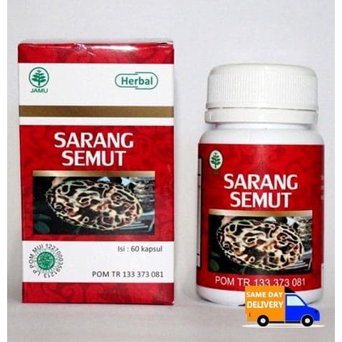 HIU Sarang Semut 60 Kapsul untuk Membantu mengobati Lupus, Stroke, kanker dan tumor, TBC & masalah p