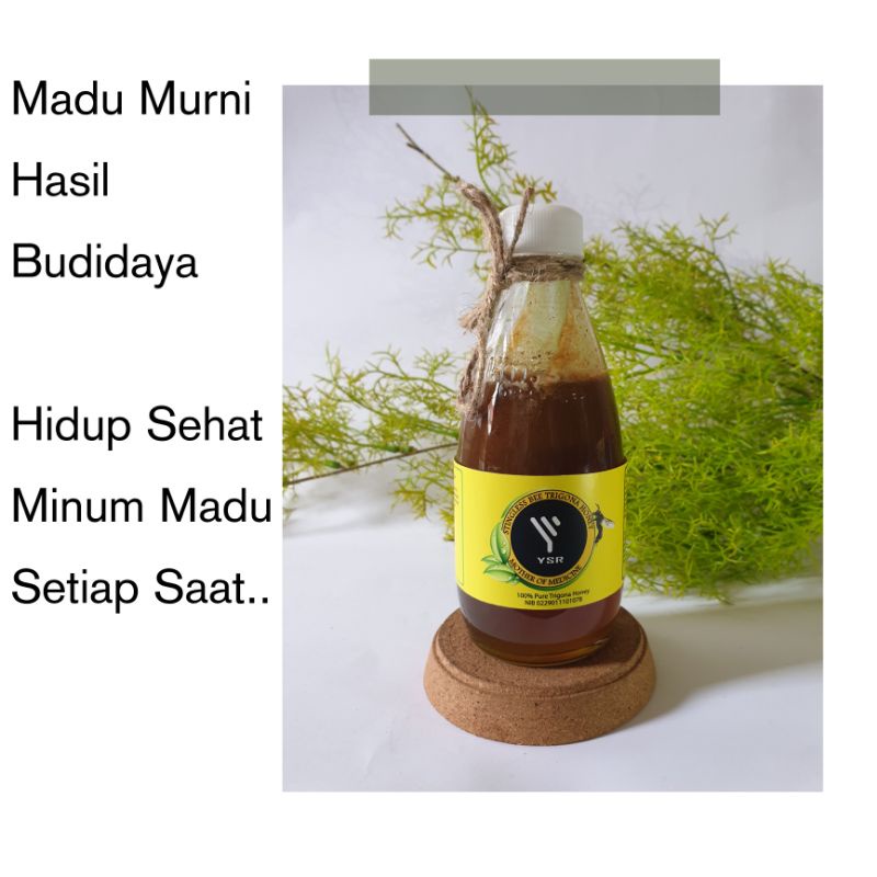

Madu Trigona - Madu Kelanceng - Madu Kelulut - Madu YSR - Madu Murni - Madu Asli 250Ml