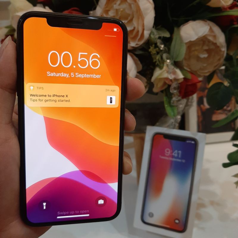 iphone X 256GB second ex inter singapur