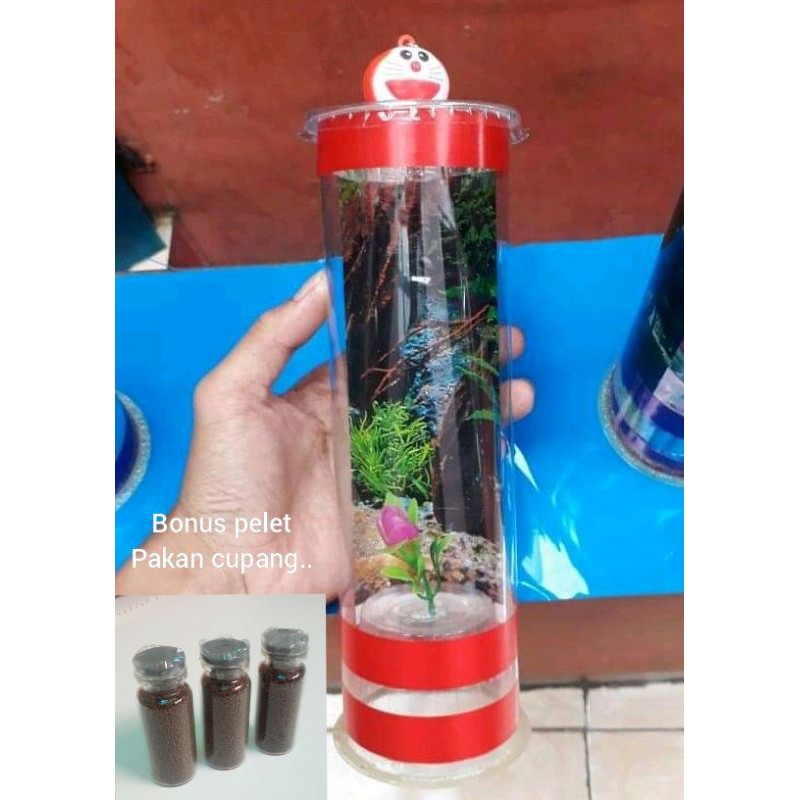 AQUARIUM MINI IKAN CUPANG IKAN HIAS LAMPU LED