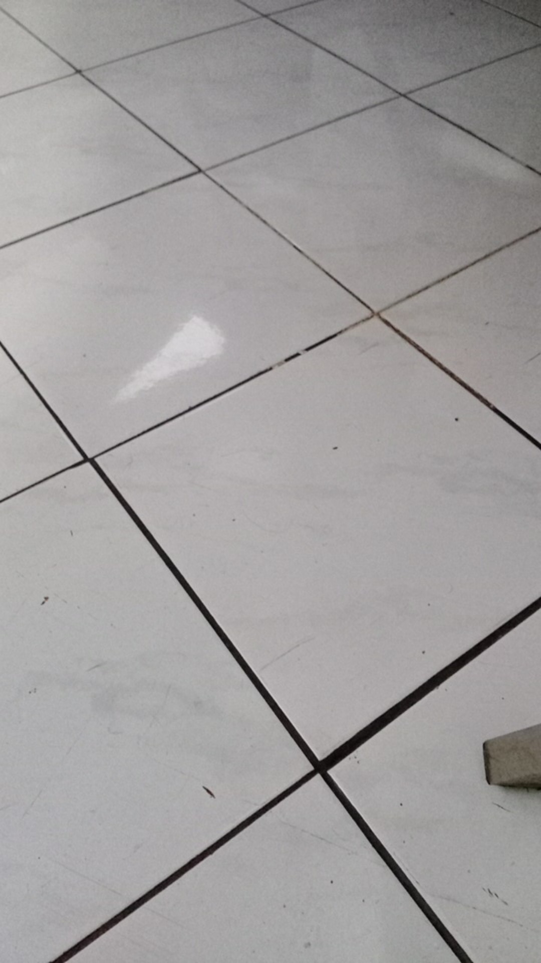 Pianika Melodica Speeds Original Tombol Doremi Murah Tas Warna