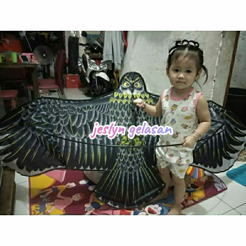 layangan elang jumbo