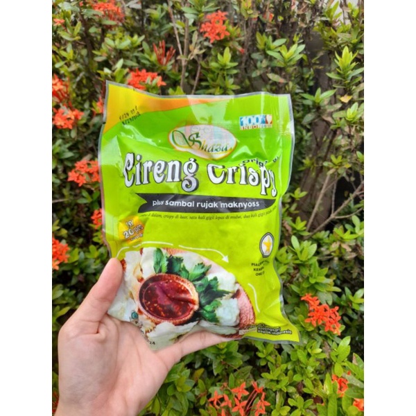 

Cireng Sambal Rujak Crispy Shaza