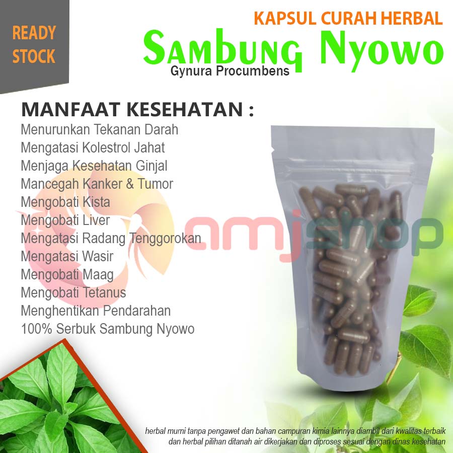 

Kapsul curah herbal sambung nyowo kapsul herbal kolestero jahat ginjal kista diabetes liver