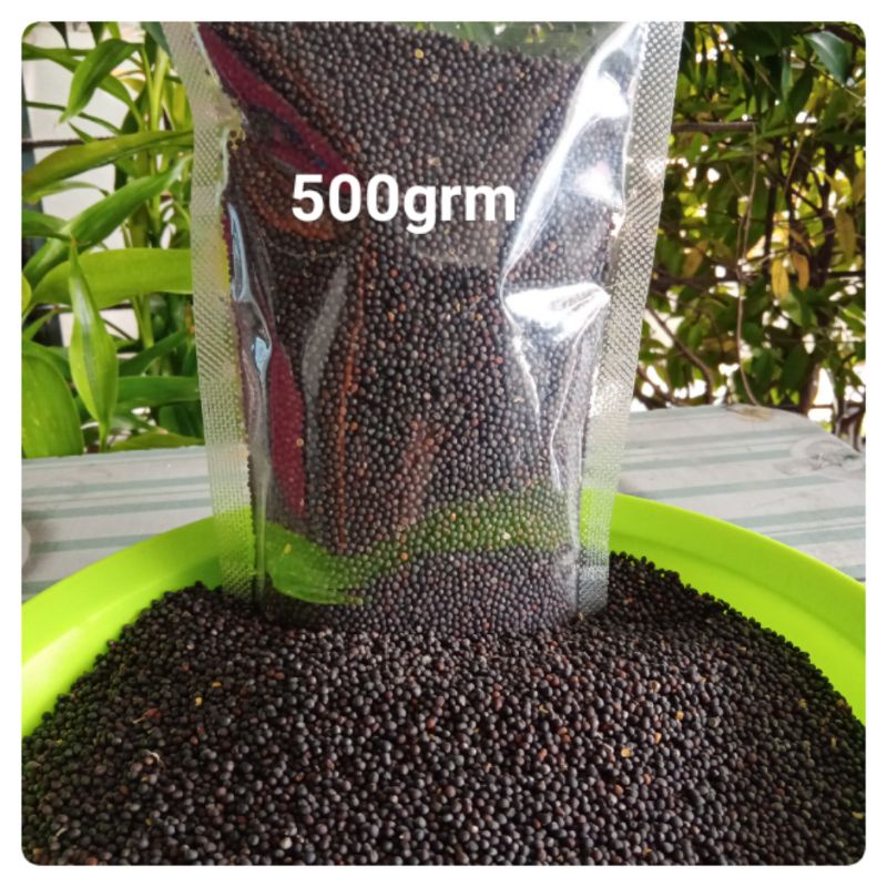 biji sawi pakan burung