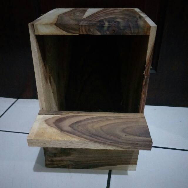 Glodok kotak murai/glodokan murai/glodok murai kotak/glodok burung murai/glodok kacer/glodok jalak