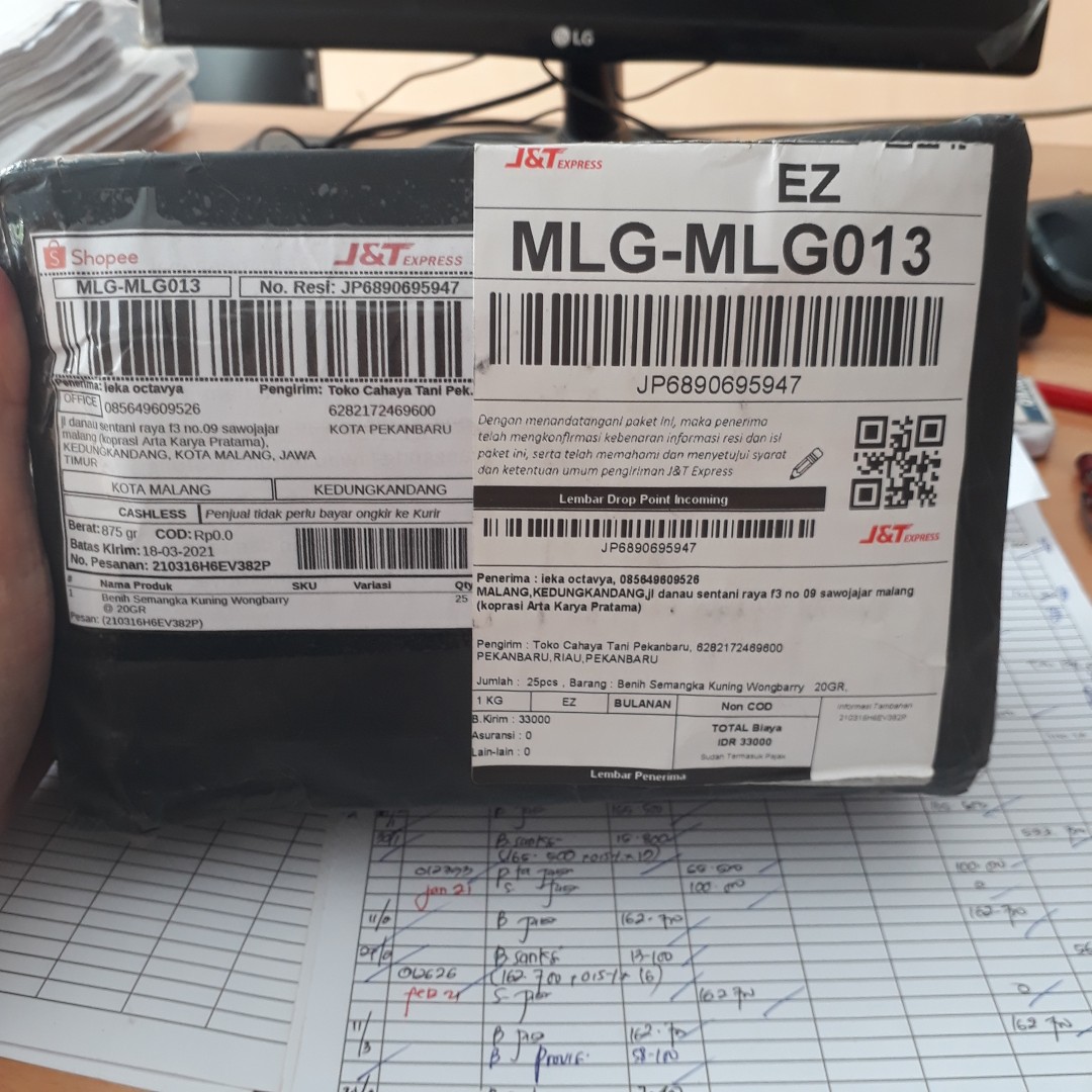 Benih Semangka Kuning Wongbarry @ 20gr