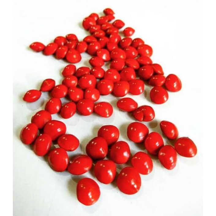 100 Benih Biji Saga /sogok tunteng