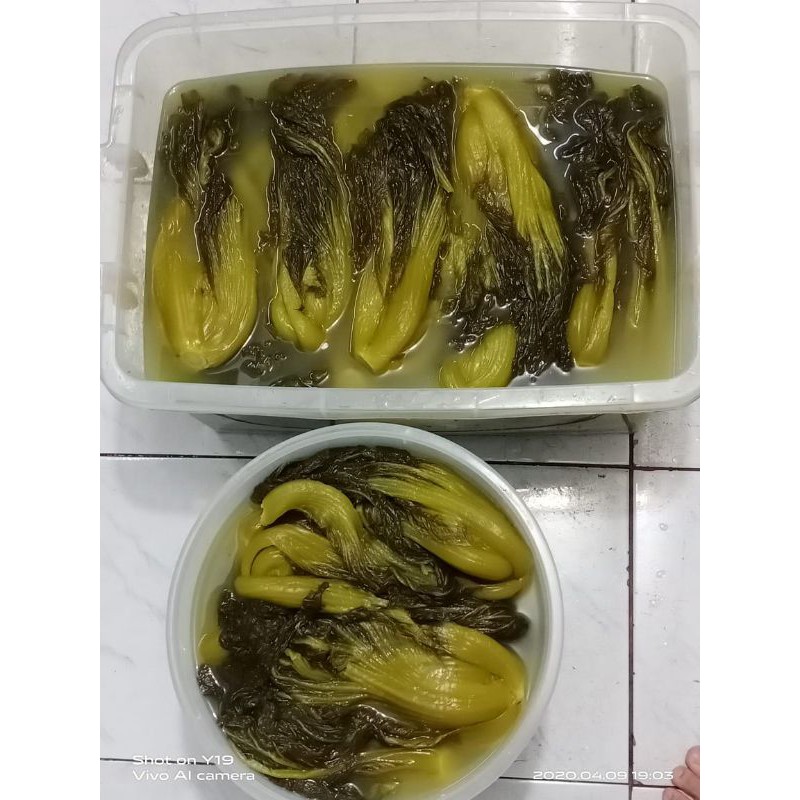 

Sayur asin homemade 500g