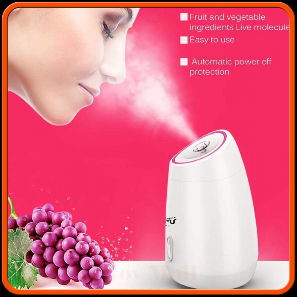 Taffware HUMI Steamer Muka Nano Spray Steam Beauty Humidifier - MR-Z1