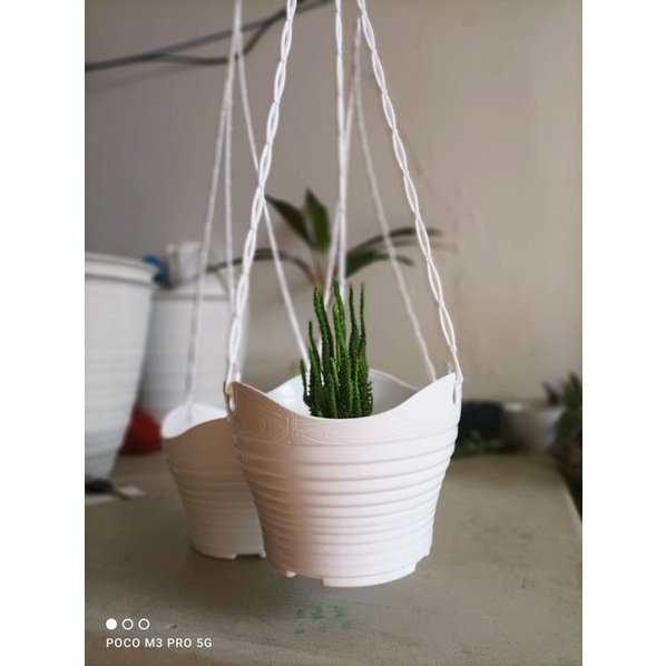 POT BUNGA GANTUNG ALEXISH 20 PUTIH - POT GANTUNG CEPER 118