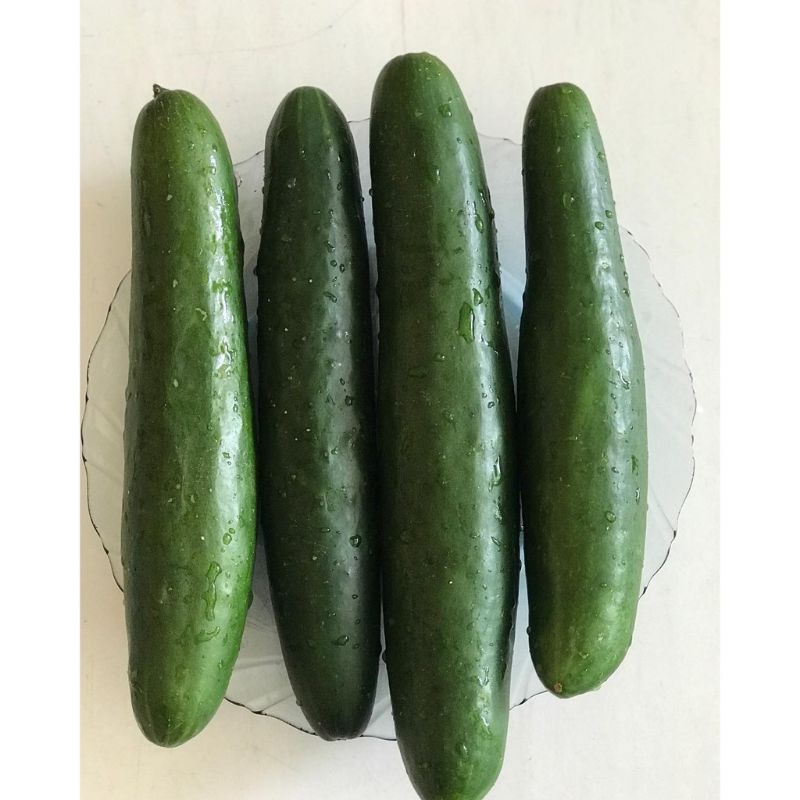 

timun kiyuri panjang 500rg