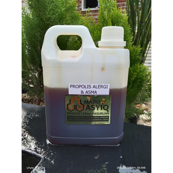 

Korzaln Madu Propolis Alergi Dan Asma