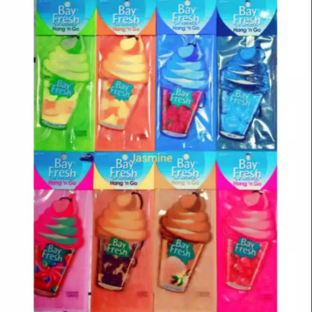 BAYFRESH HANG N GO