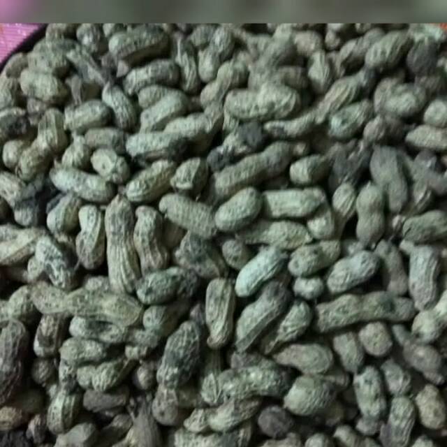 

Kacang kulit kering mentah 500 gram