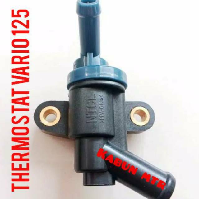 Thermostat Vario 125 Fi NTCL