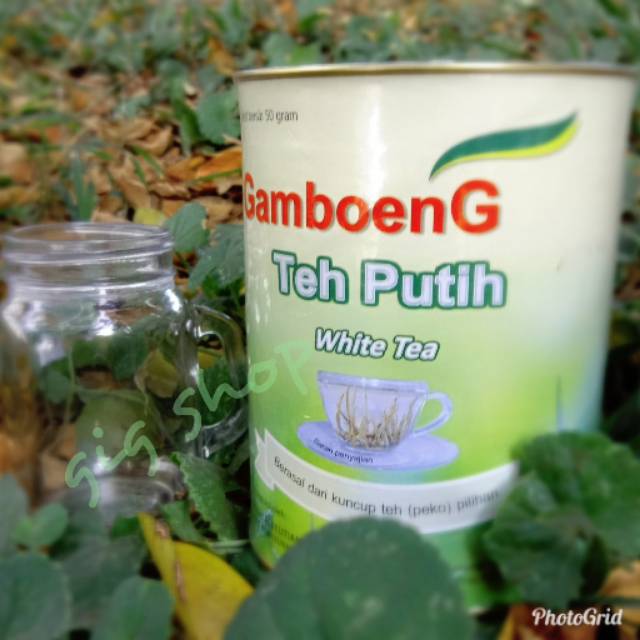 

Teh Putih Gamboeng 50gr
